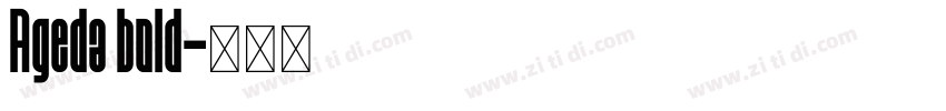 Ageda bold字体转换